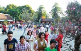 Văn Miếu - Quốc Tử Giám thu hút đông đảo người dân dịp Tết